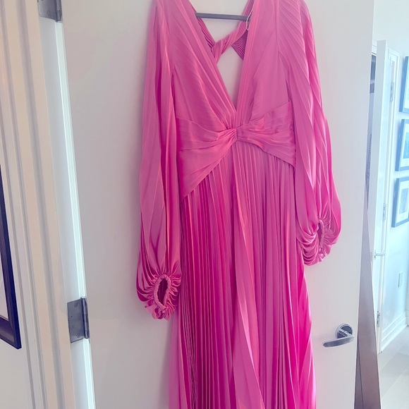 COPY - Acler Palms Pleat Dress- Confetti Pink Size 8 - Picture 6 of 7